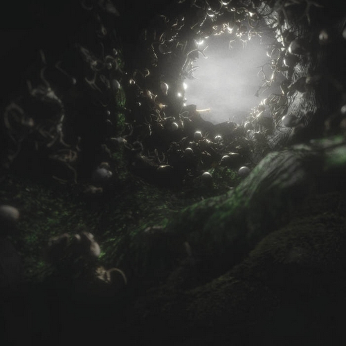 owlcave2021